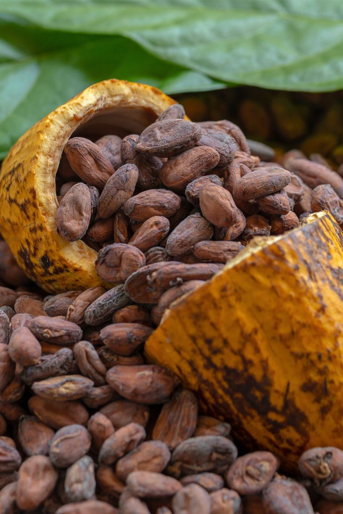 ChocoArt Chocolate artesanal 100 % orgánico con sabor único