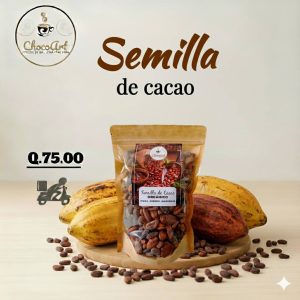 Semilla de Cacao