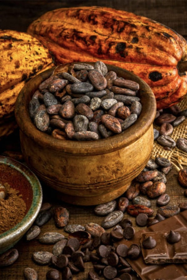 ChocoArt
Chocolate artesanal 100 % orgánico con sabor único